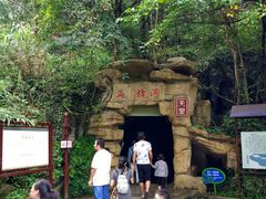-百色大石围天坑群
