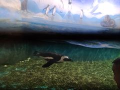 -洛阳龙门海洋馆