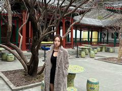 -宫事颐庭·老佛爷贵寿下午茶(颐和园店)