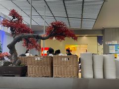 -苏小柳点心·手作小笼包(浦东嘉里城分院)