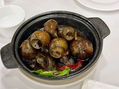 -瑞福园联谊餐室(茂名南路店)