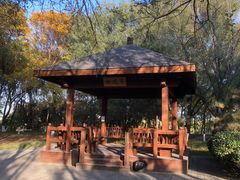 -大兴滨河森林公园