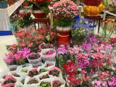 -双季花艺园艺市场(浦东店)