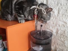 -平行世界·猫咖(首经贸店)