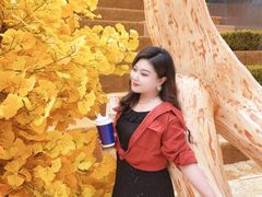 -石家庄万象城