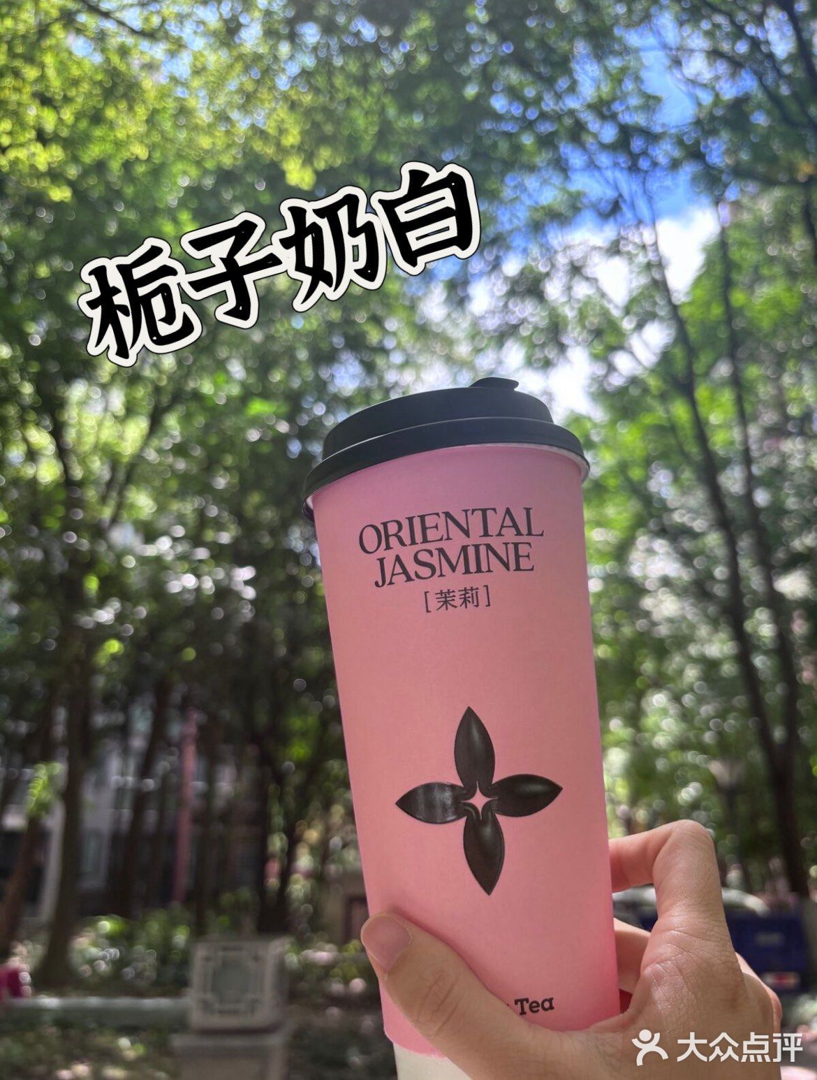 茉莉奶白，终于来了，在家门口就能喝到！ 
