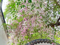 -深圳国际园林花卉博览园