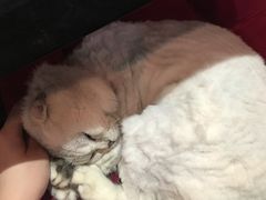 -MIKAKU(万达广场上海宝山店)