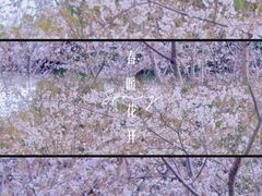 -黄兴公园