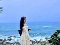 -广东惠东海龟国家级自然保护区