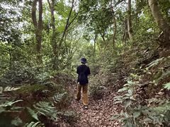 -午潮山国家森林公园