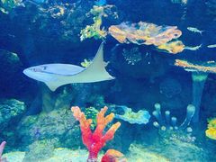 -华夏文旅海洋公园