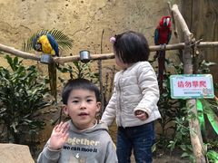 -杭州开元森泊度假乐园