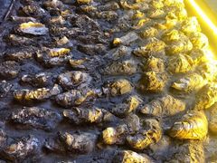 -囧吉香生蚝牛排馆(湖北路店)