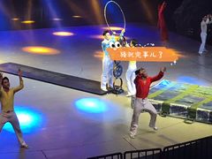 -重庆国际马戏城
