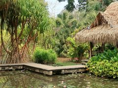-中国科学院西双版纳热带植物园