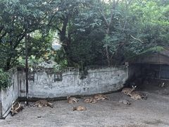 -台州府城(江南长城)