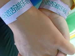 -南京银杏湖乐园