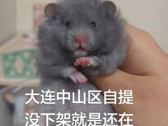 -叶氏兄弟果业(大连鲁迅店)