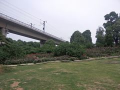 -秀丽东方