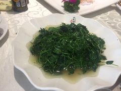 -阿英煲(凉城路店)