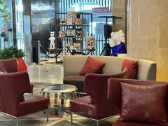 -南京禄口机场雅高铂尔曼大酒店