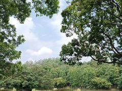 -番禺大夫山森林公园