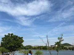 -羊山湖公园
