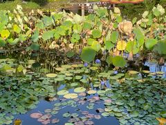 -国家植物园南园