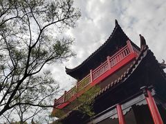 -吼山森林公园