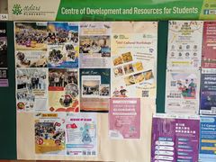 -香港大学