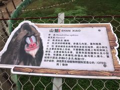 -西安秦岭野生动物园