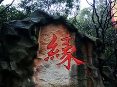-杭州黄龙洞