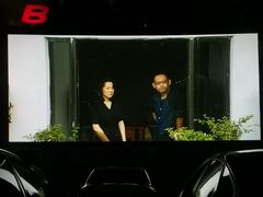 -枫花园汽车电影院(朝阳公园店)