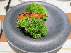 -觀芷隐轩