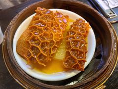 萝卜金钱肚-添运来(茶园奥园广场店)