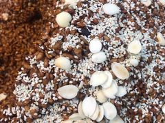 -清真马乐贝腊牛肉蛋黄菜夹馍(马蓉洒金桥店)