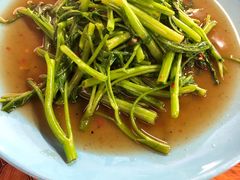 -陳妈妈泰国菜