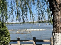 -济南大明湖景区