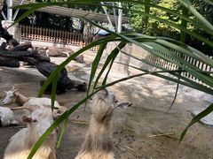 -广州长隆飞鸟乐园