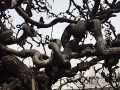 -山西王家大院