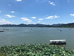 -湖畔居茶楼(湖滨店)