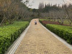-同里国家湿地公园
