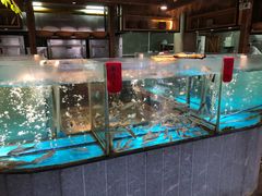 水产区-丹江渔村(首都机场店)