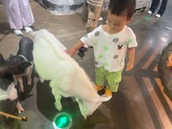 -Zoolung Zoolung动物主题公园(海信广场店)