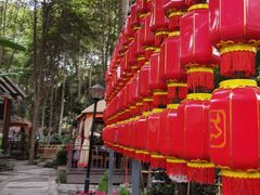 -二荆条·蜀鲜汇城市森林火锅