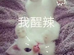 -九寸钉自助·炭火烤肉烧烤(欧乐时尚广场店)