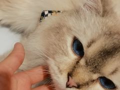 -宝大祥青少年儿童购物中心(南京东路店)