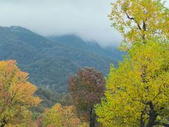 -罗田天堂寨风景区