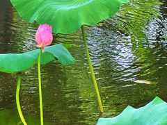 -柳园春天特色餐厅(南浔古镇店)